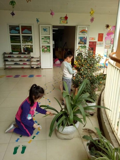 Hoạt động chăm sóc cây của các bé lớp mẫu giáo lớn A2